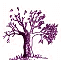 Network Arts Lewisham